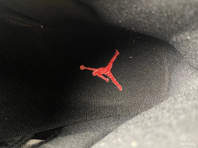 - Jordan Air 670 1822 378037 11 Cozy 0626